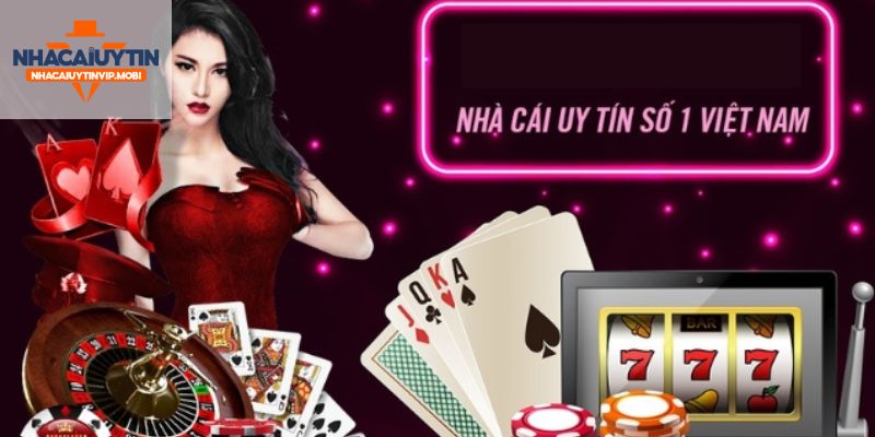 9Dbet - Tốt hơn, trẻ hơn, nhanh hơn - 9Dbet