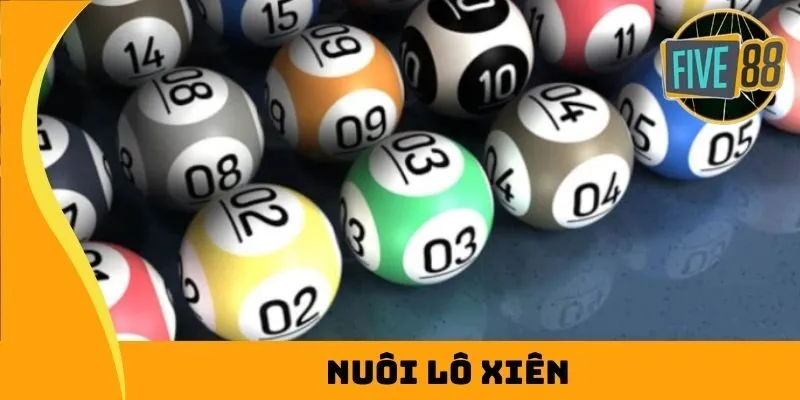 Hãy cùng xem qua một số thông tin cơ bản về trang web chơi game trực tuyến Vn123 - Vn123