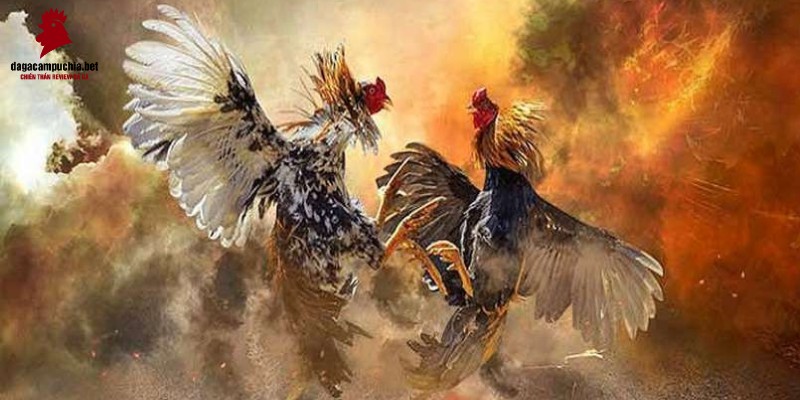 Hãy tận hưởng các trò chơi máy đánh bạc thỏa thích! - Kl99
