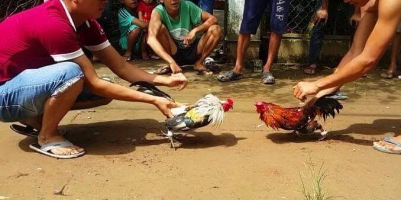 Một số lợi ích khi chơi game cấp độ Jj88 - Jj88