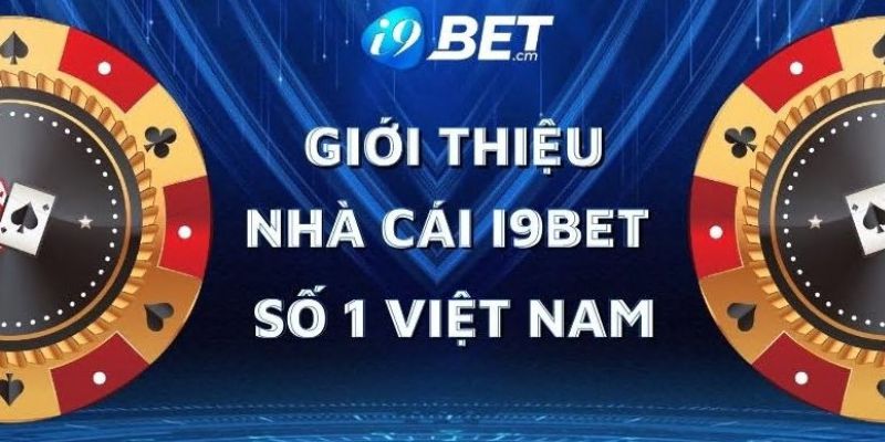 Dịch vụ của Công ty Trò chơi Kimsa - Kimsa