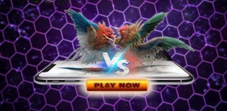 Bạn biết gì về trang web 69Vn Games? - 69Vn