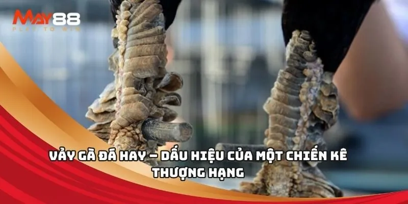 Việc gửi và rút tiền tại 13Win có đáng tin cậy không, hay đó là một trò lừa đảo? - 13Win