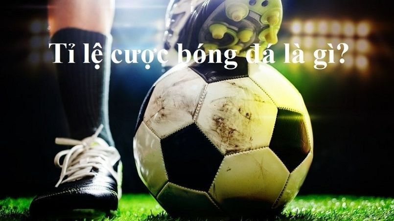 Những lợi thế độc đáo của một nền tảng cá cược thể thao uy tín đạt chuẩn Ev8 - Ev8