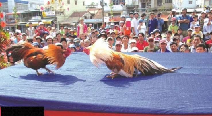 Truy cập nhanh vào Mu8 - Mu8