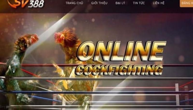 Tại sao nên chọn cá cược đá gà tại Công ty 007Win Gaming? - 007Win