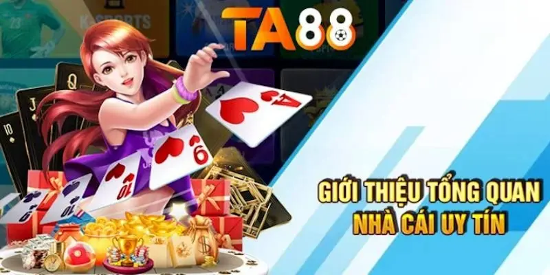V6bet tổ chức nhiều sự kiện quảng bá chọi gà vô cùng hấp dẫn - V6bet